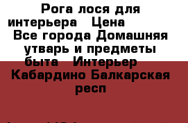 Рога лося для интерьера › Цена ­ 3 300 - Все города Домашняя утварь и предметы быта » Интерьер   . Кабардино-Балкарская респ.